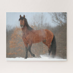 Puzzle Baie Andalousie Stallion debout En Neige