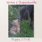 Puzzle Baiser Chiens Chiens Chiot Aimer