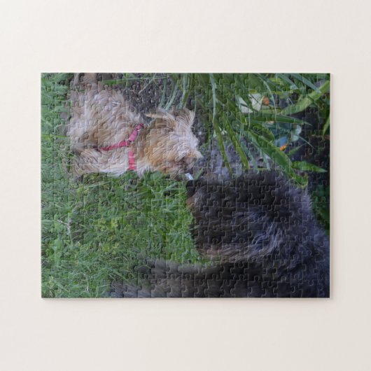 Puzzle Baiser Chiens Chiens Chiot Aimer (Horizontal)