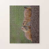 Puzzle baisers de chiens de prairie (Vertical)