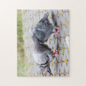 Puzzle Baisers des pigeons (Vertical)