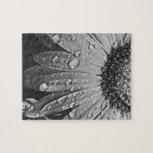 Puzzle Baisses de scintillement de pluie sur la fleur de (Horizontal)