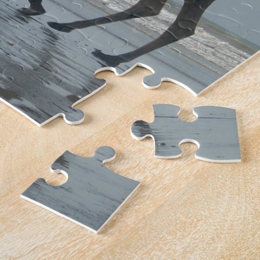 Puzzle Balade en chameaux tribaux : Marée matinale Sables (Côté)