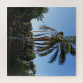 Puzzle Balayage d'un palmier sous un ciel clair (Horizontal)