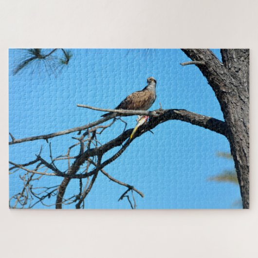 Puzzle Balbuzard dans la nature (Horizontal)