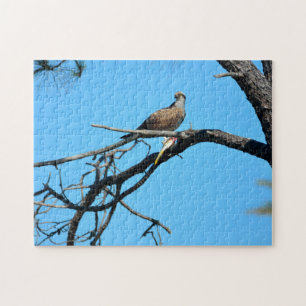 Puzzle Balbuzard dans la nature
