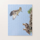 Puzzle Balbuzard pêcheur dans le nid (trois amigos) (Vertical)