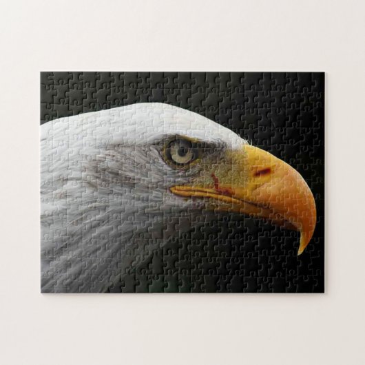 Puzzle Bald Eagle 11x14 252pc jpa (Horizontal)