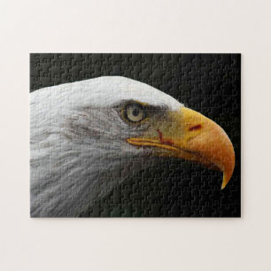 Puzzle Bald Eagle 11x14 252pc jpcn