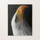Puzzle Bald Eagle 11x14 252pc jpcn (Vertical)