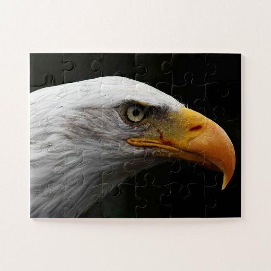 Puzzle Bald Eagle 11x14 30pc/min (Horizontal)