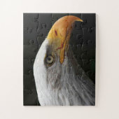 Puzzle Bald Eagle 11x14 30pc/min (Vertical)