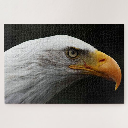 Puzzle Bald Eagle 20x30 1014pc jpcn (Horizontal)