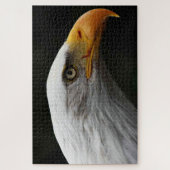Puzzle Bald Eagle 20x30 1014pc jpcn (Vertical)