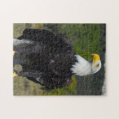 Puzzle Bald Eagle Colorado. (Horizontal)