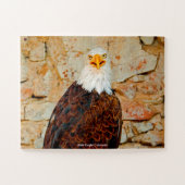 Puzzle Bald Eagle Colorado (Horizontal)