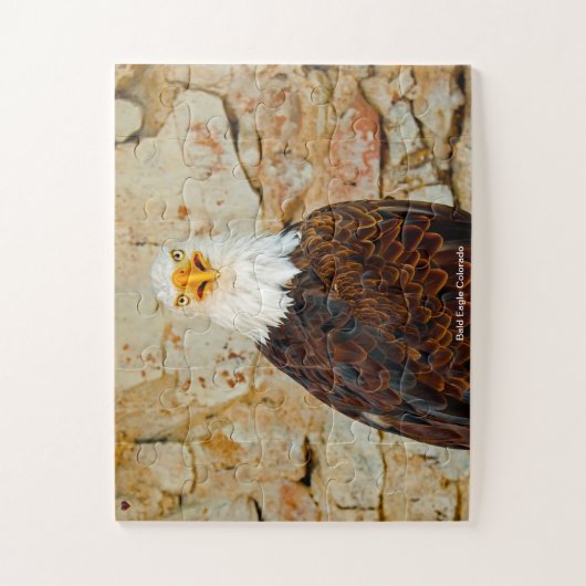 Puzzle Bald Eagle Colorado (Vertical)