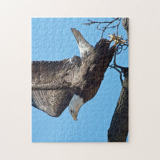 Puzzle Bald Eagle décolle (Vertical)