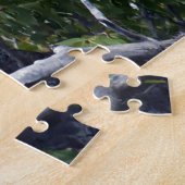 Puzzle Bald Eagle Grand Teton National Park Wyoming. (Côté)