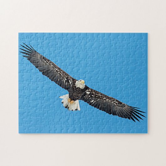 Puzzle Bald Eagle in flight (Horizontal)