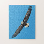 Puzzle Bald Eagle in flight (Vertical)