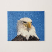 Puzzle Bald Eagle Look (Horizontal)