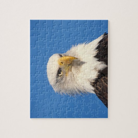 Puzzle Bald Eagle Look (Vertical)