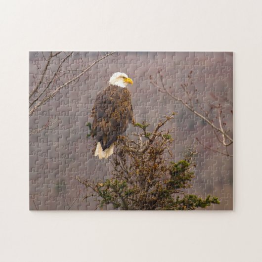 Puzzle Bald Eagle Nouvelle-Écosse Canada. (Horizontal)
