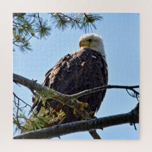 Puzzle Bald Eagle Perch - 20x20 - 676 pcs. (Vertical)
