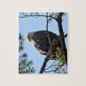 Puzzle Bald Eagle Perch - 8x10 - 110 pcs. (Vertical)