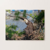 Puzzle Bald Eagle quittant le nid (Horizontal)