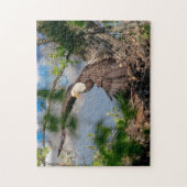 Puzzle Bald Eagle quittant le nid (Vertical)