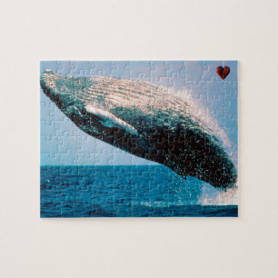 Puzzle Baleine à bosse Alaska