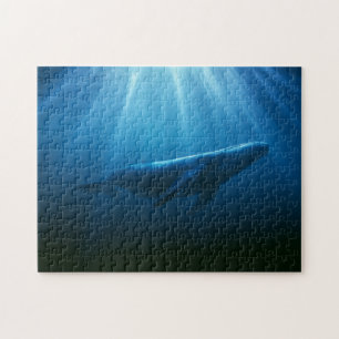 Puzzle Baleine à bosses sous-marine