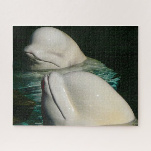 Puzzle Baleine de Beluga Alaska (Horizontal)