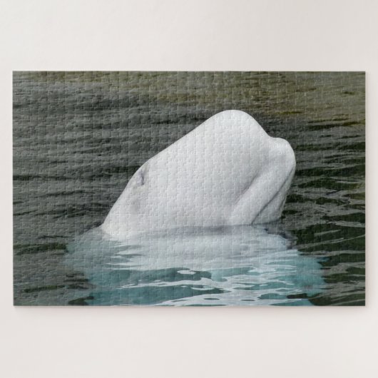Puzzle Baleine de Beluga Alaska (Horizontal)