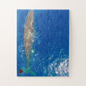 Puzzle Baleine de Sperm (Vertical)