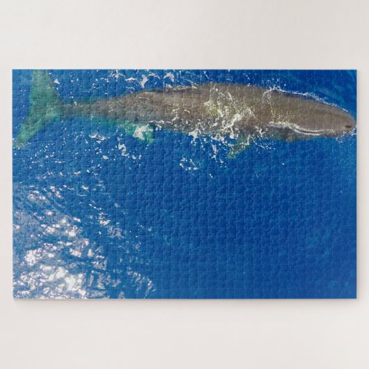 Puzzle Baleine de Sperm (Horizontal)