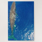 Puzzle Baleine de Sperm (Vertical)