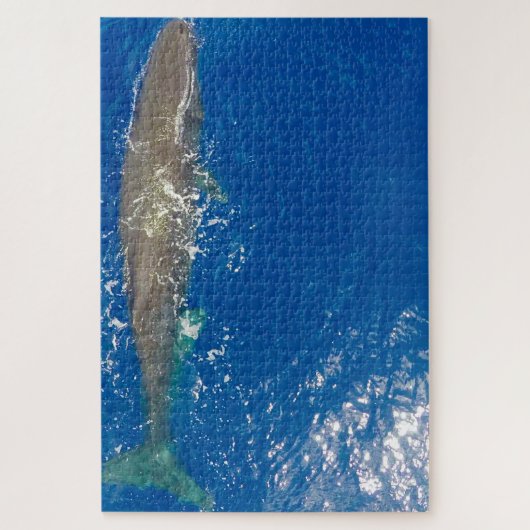 Puzzle Baleine de Sperm (Vertical)