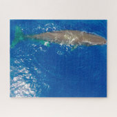 Puzzle Baleine de Sperm (Horizontal)