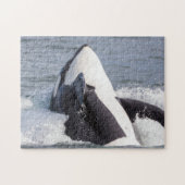 Puzzle Baleine d'Orca (Horizontal)