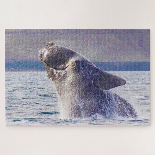 Puzzle Baleine franche (Horizontal)