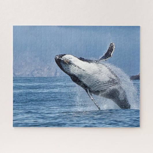 Puzzle Baleines à bosse de Jigsaw. (Horizontal)