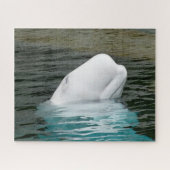 Puzzle Baleines de Beluga (Horizontal)