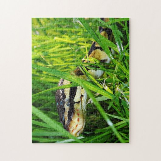 Puzzle Ball Python serpent dans l'herbe (Vertical)