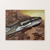 Puzzle Ball Python Snake (Horizontal)