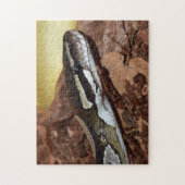 Puzzle Ball Python Snake (Vertical)