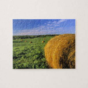 Puzzle Balles de foin près de Bottineau Dakota du Nord