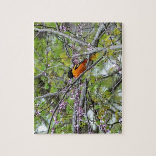 Puzzle Baltimore Oriole (Vertical)